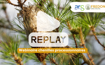 Replay – Webinaire d’informations sur les chenilles processionnaires